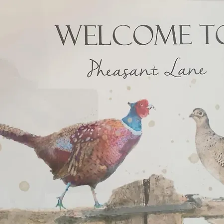 Iris Дом отдыха Raistin