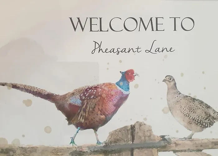 Iris Casa vacanze Raistin